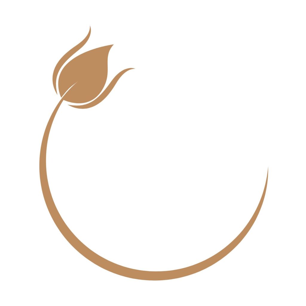 THE BESPOKE CLINIC WELLNESS TREATMENTS ICON